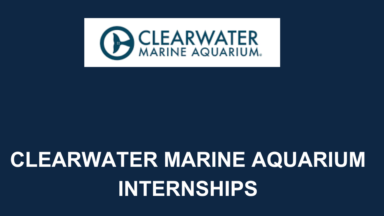 Clearwater Marine Aquarium Internships 2024 Careers Field