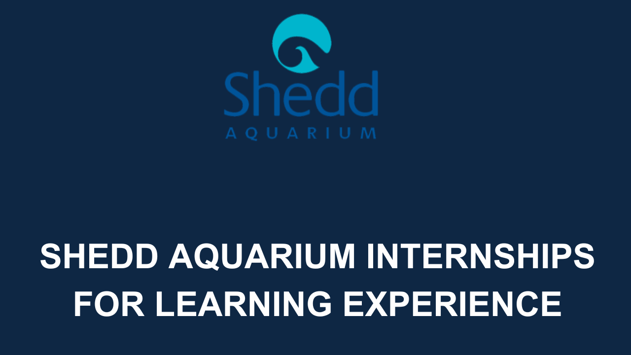 Shedd Aquarium Internships 2024 Educational Advancement Careers Field